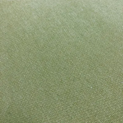 Tapestry Fabric, Upholstery 1st Quality, 859 Lice Green Color