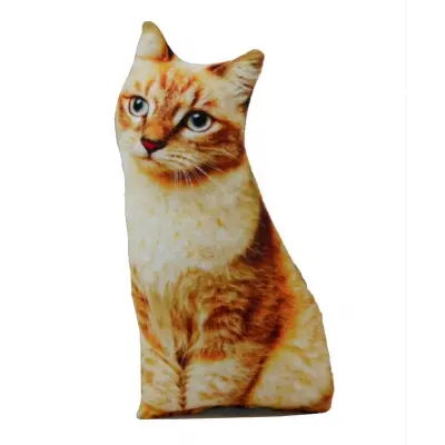 Three-dimensional Cat Pattern Decorative Pillow, Gift, Travel Pillow GT-Kedi-09
