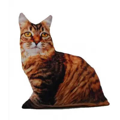 Three-dimensional Cat Pattern Decorative Pillow, Gift, Travel Pillow GT-Kedi-11