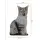 Three-dimensional Cat Pattern Decorative Pillow, Gift, Travel Pillow 12