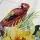Özel Tasarım Pamuk Kumaş, Perde, Elbise, Koltuk İçin, Krem zemin üzerine Papağan desenli