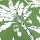 Özel Tasarım Pamuk Kumaş, Perde, Elbise, Koltuk İçin, Yeşil zemin üzerine Ağaç desenli