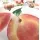 Peach Pamuk Masa Örtüsü 140x170 cm