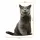 Üç Boyutlu Kedi Desenli Dekoratif Yastık, Hediyelik, Seyahat Yastığı GT-Kedi-04