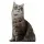 Üç Boyutlu Kedi Desenli Dekoratif Yastık, Hediyelik, Seyahat Yastığı GT-Kedi-15