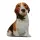 Üç Boyutlu Köpek Desenli Dekoratif Yastık, Hediyelik, Seyahat Yastığı GT-Kpk-03
