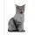 Üç Boyutlu Kedi Desenli Dekoratif Yastık, Hediyelik, Seyahat Yastığı 12