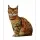 Üç Boyutlu Kedi Desenli Dekoratif Yastık, Hediyelik, Seyahat Yastığı 13