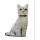 Üç Boyutlu Kedi Desenli Dekoratif Yastık, Hediyelik, Seyahat Yastığı 16