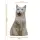 Üç Boyutlu Kedi Desenli Dekoratif Yastık, Hediyelik, Seyahat Yastığı 28