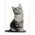 Üç Boyutlu Kedi Desenli Dekoratif Yastık, Hediyelik, Seyahat Yastığı 06