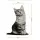 Üç Boyutlu Kedi Desenli Dekoratif Yastık, Hediyelik, Seyahat Yastığı 06