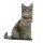 Üç Boyutlu Kedi Desenli Dekoratif Yastık, Hediyelik, Seyahat Yastığı GT-Kedi-02