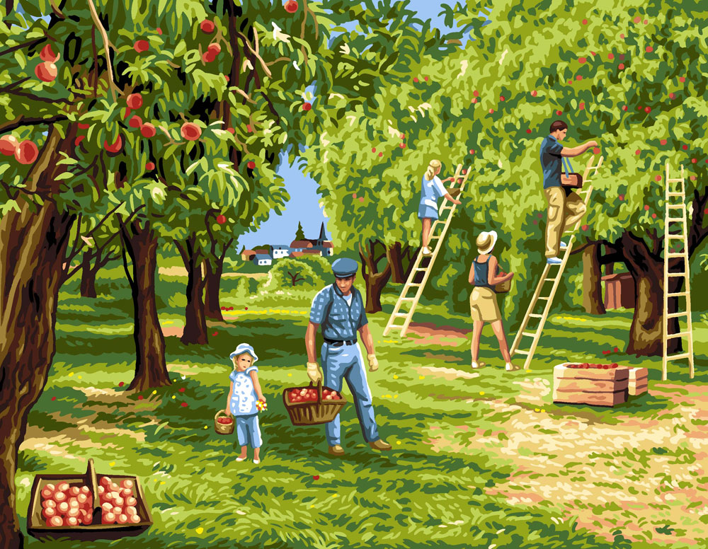 Картинка сад для детей. Фруктовый сад иллюстрация. Картинка фруктового сада для дошкольников. Картинка сад без фруктов. Фруктовый сад картинки для детей.